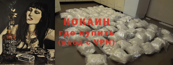 индика Абинск