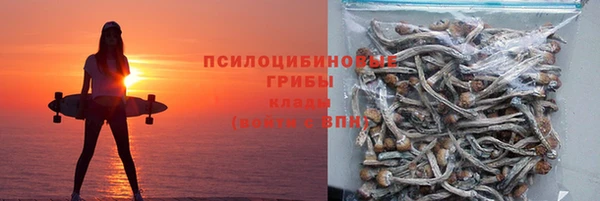 индика Абинск