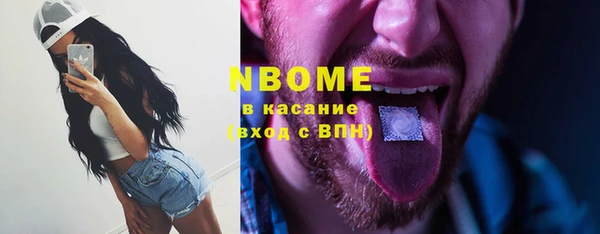 индика Абинск