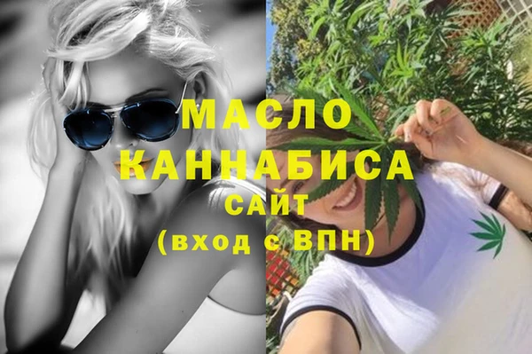 индика Абинск