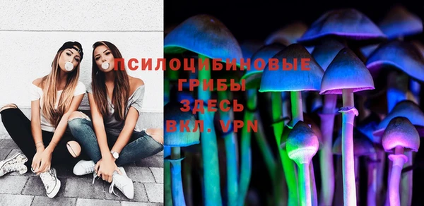 индика Абинск