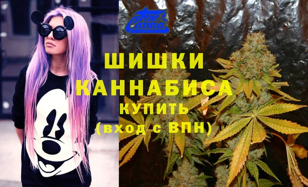 индика Абинск